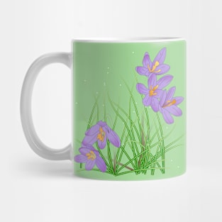 Crocus Flowers on Spring Green Mug